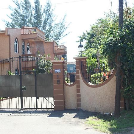 Cozy Apartment كينغستون المظهر الخارجي الصورة